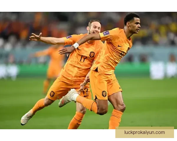 加克波技术全面性